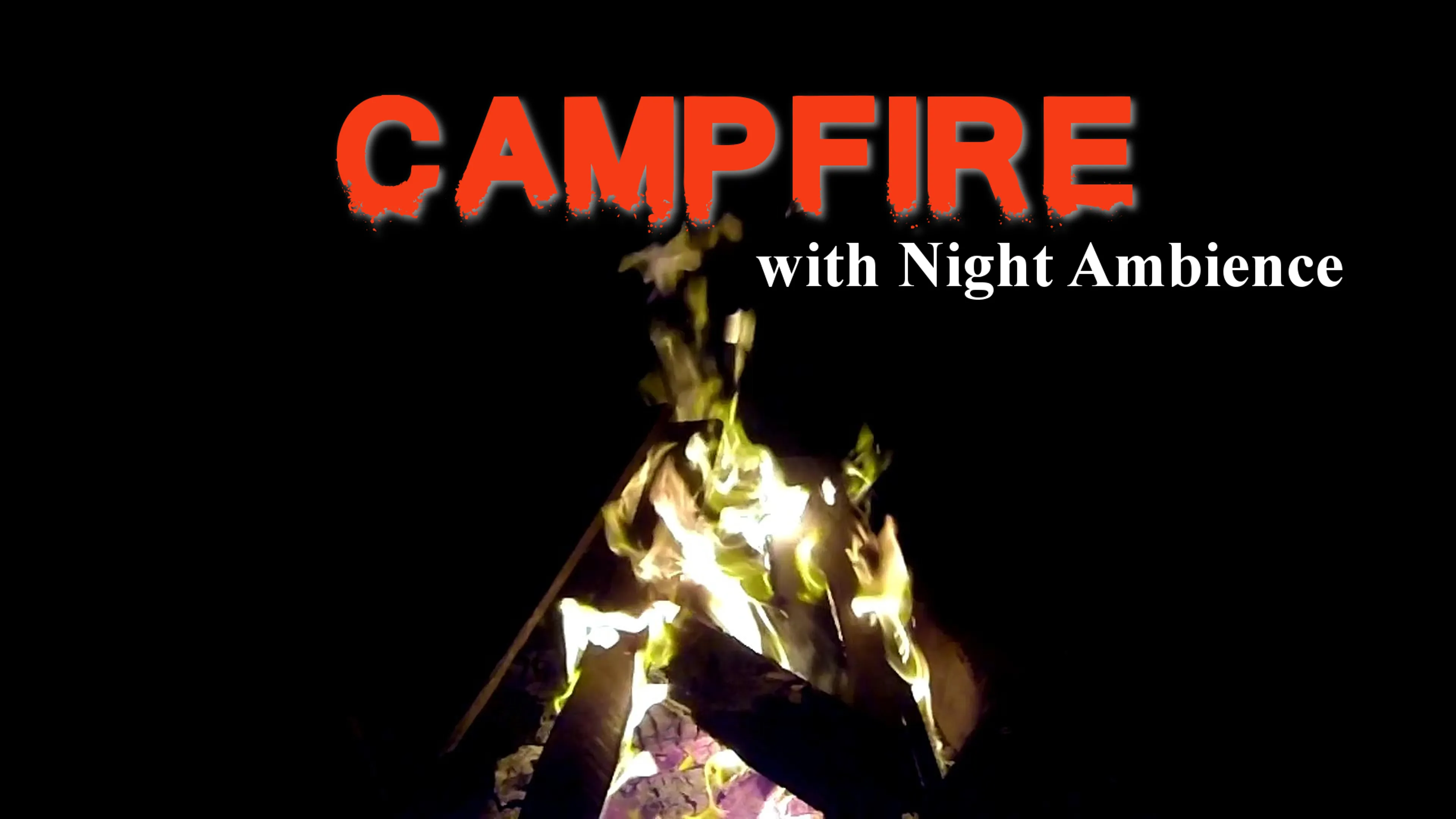 Campfire with Night Ambience poster